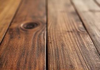 Close-up of wood grain