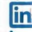 LinkedIn icon
